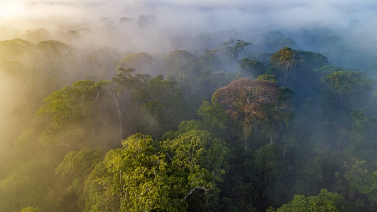 ESG фактори та ризики діяльності компанії